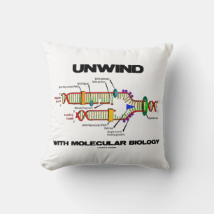 Unwind With Molecular Biology DNA Replication Cushion
