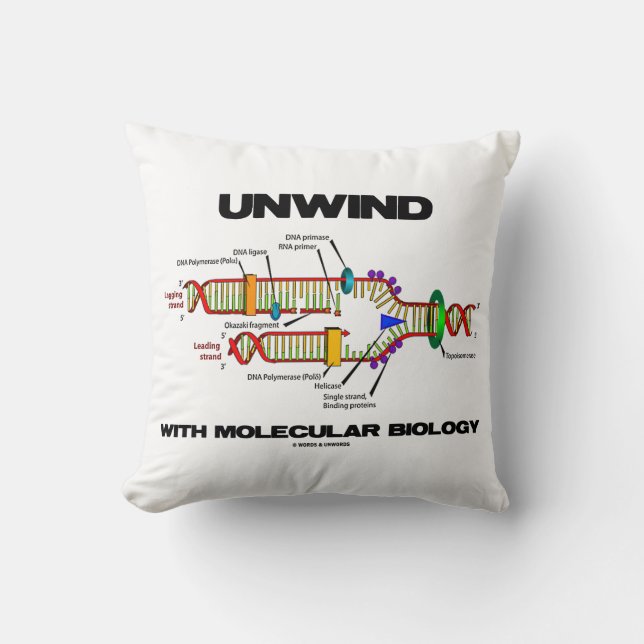 Unwind With Molecular Biology DNA Replication Cushion (Front)