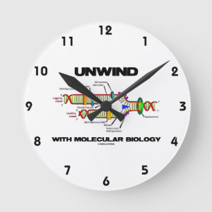 Unwind With Molecular Biology (DNA Replication) Round Clock