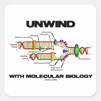 Unwind With Molecular Biology (DNA Replication) Square Sticker
