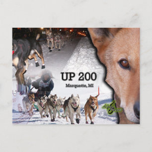 UP 200 Collage Postcard