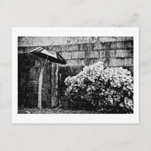 up against the rain postcard