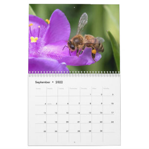 Up Close and Personal with the Bees Photo   Calendar
