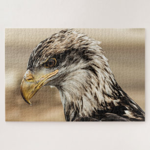 Up Close Eagle Photo Jigsaw Puzzle