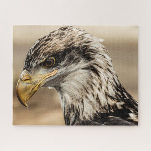 Up Close Eagle Photo Jigsaw Puzzle