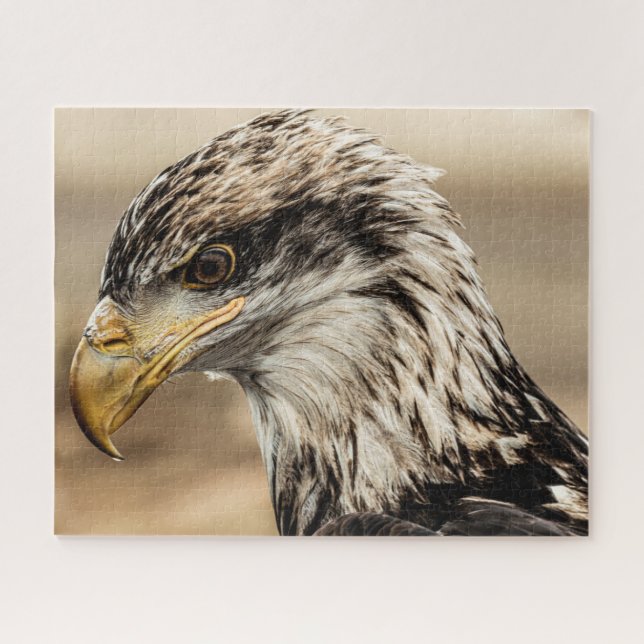 Up Close Eagle Photo Jigsaw Puzzle (Horizontal)
