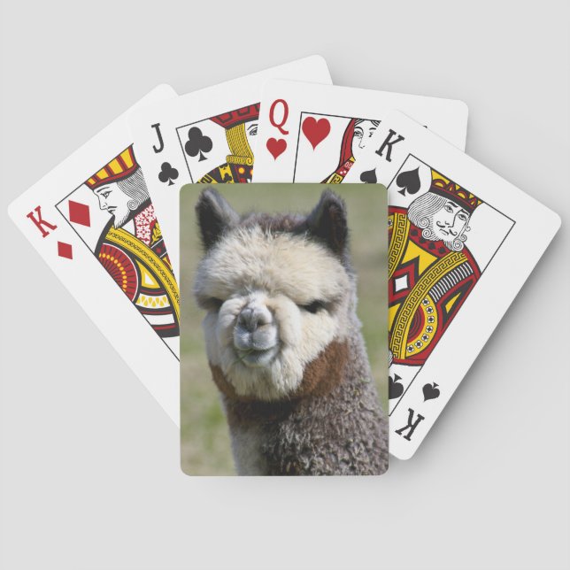 Up Close Grey Alpaca Playing Cards (Back)