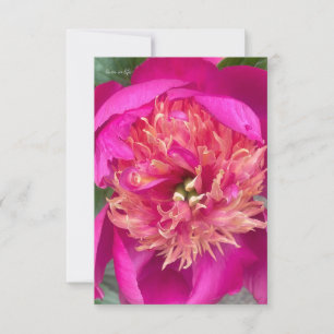 Up-close Hot Pink Peony Card