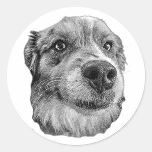 Up Close & Loyal Classic Round Sticker