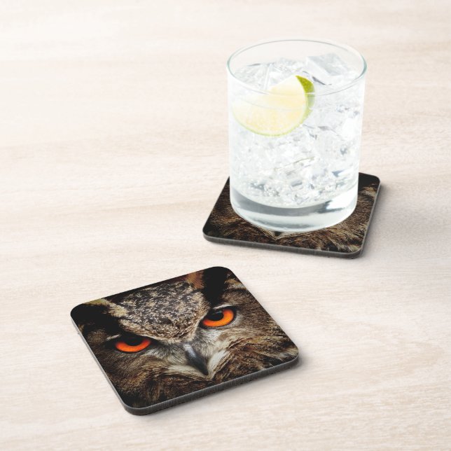 Up Close Owl with Orange Eyes Coaster (Right Side)