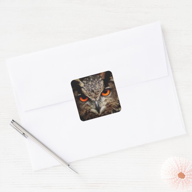Up Close Owl with Orange Eyes Square Sticker (Envelope)