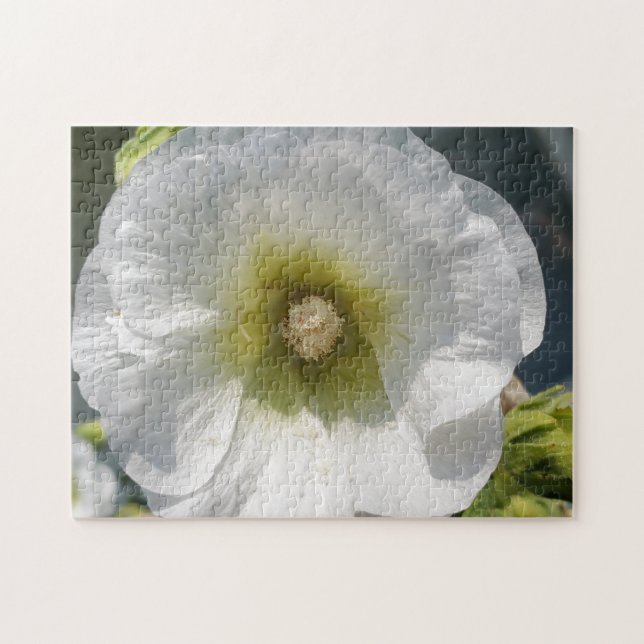 Up close white flower jigsaw puzzle (Horizontal)