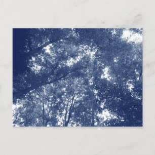 Up in the Trees - Cyanotype Effect Postcard