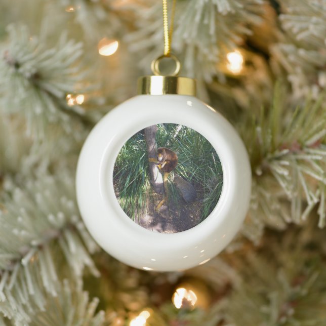 "Up in Trees: An Australian Tree Kangaroo Climbs Ceramic Ball Christmas Ornament (Tree)