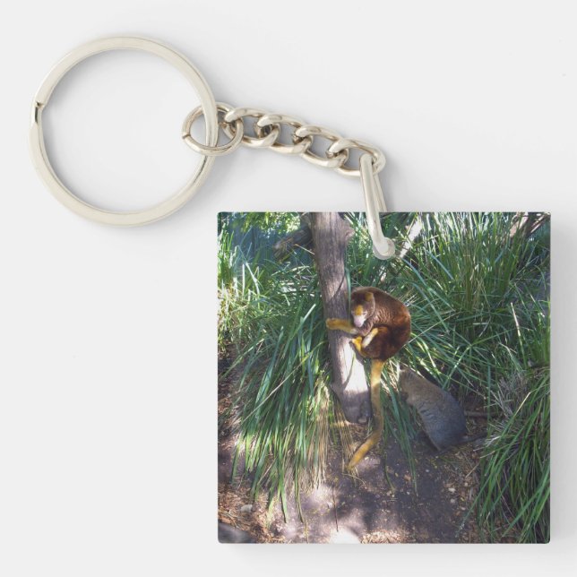"Up in Trees: An Australian Tree Kangaroo Climbs Key Ring (Front)