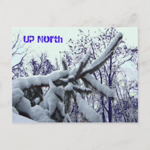 Up North Postcard