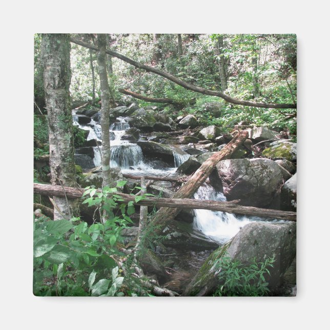 Up-River Magnet (Front)