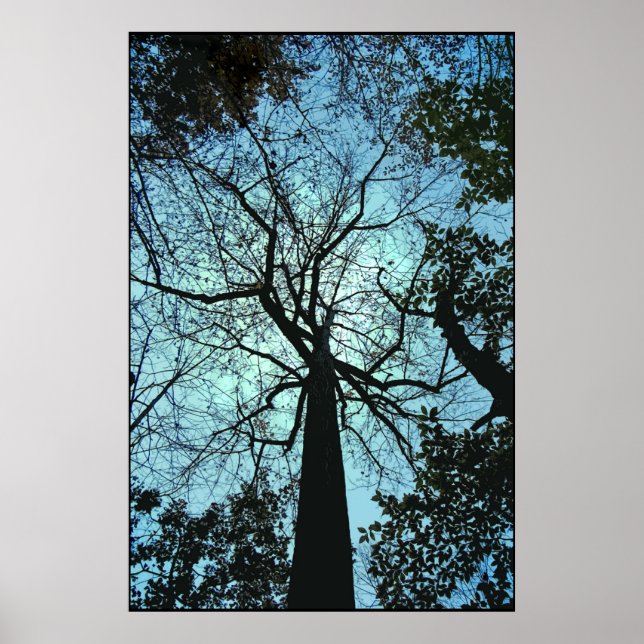 Up the Tree Poster (Front)