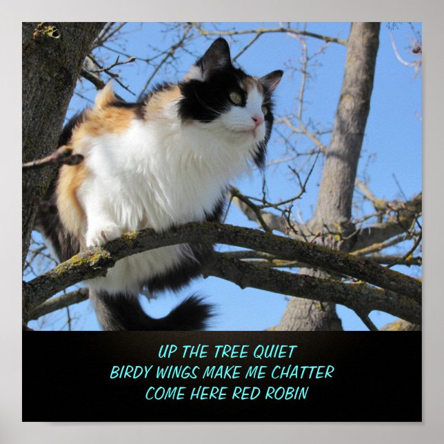 Up the Tree Quiet Cat Meme Haiku Poster (Front)