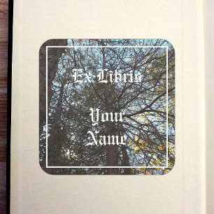 Up Through the Branches Bookplate Square Sticker
