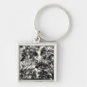 Up Through The Trees, 2018 SVP Images Key Ring