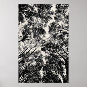 Up Through The Trees, 2018 SVP Images Poster