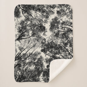 Up Through The Trees, 2018   SVP Images Sherpa Blanket