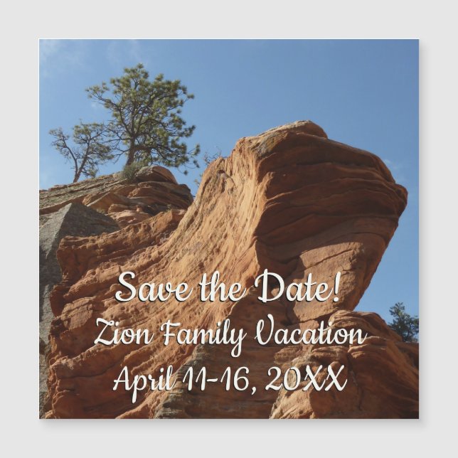 Up to Angels Landing in Zion National Park (Front)