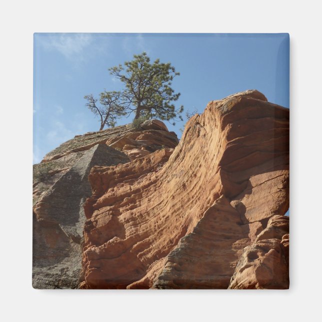 Up to Angels Landing in Zion National Park Magnet (Front)