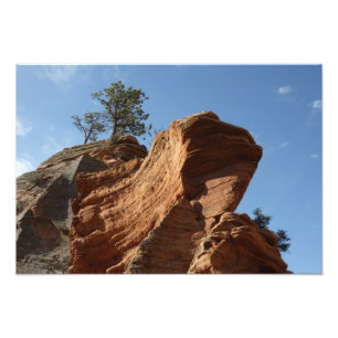 Up to Angels Landing in Zion National Park Photo Print