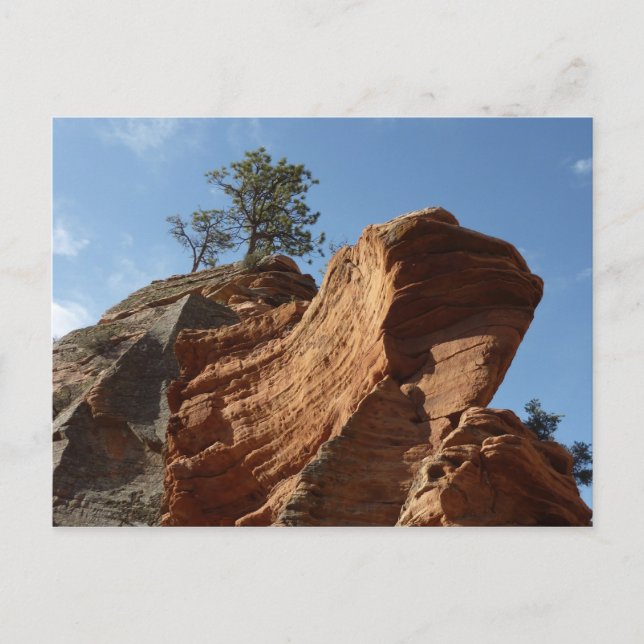 Up to Angels Landing in Zion National Park Postcard (Front)