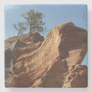 Up to Angels Landing in Zion National Park Stone Coaster