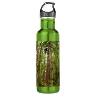 Up to Redwoods I at Muir Woods National Monument 710 Ml Water Bottle