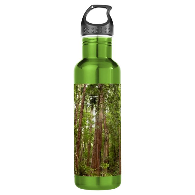 Up to Redwoods I at Muir Woods National Monument 710 Ml Water Bottle (Front)