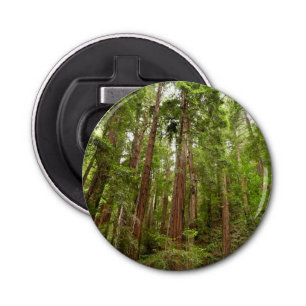 Up to Redwoods I at Muir Woods National Monument Bottle Opener