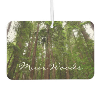 Up to Redwoods I at Muir Woods National Monument Car Air Freshener