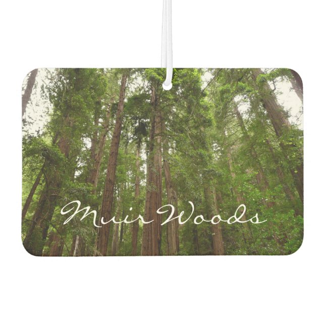 Up to Redwoods I at Muir Woods National Monument Car Air Freshener (Front)