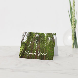 Up to Redwoods I at Muir Woods National Monument Card