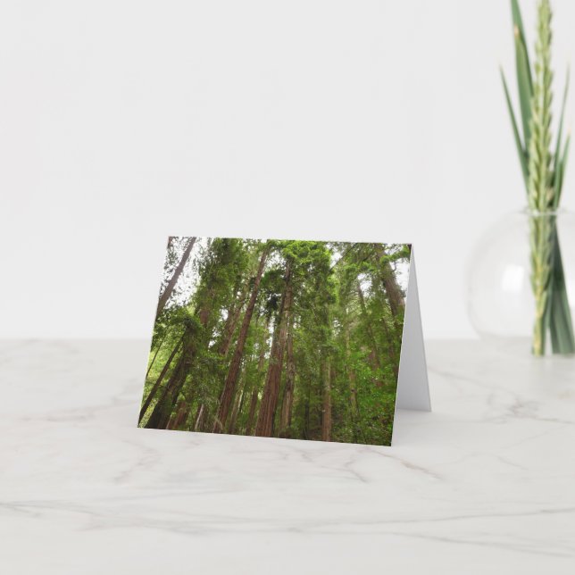Up to Redwoods I at Muir Woods National Monument Card (Front)