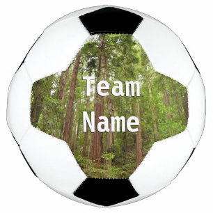 Up to Redwoods I at Muir Woods National Monument Football