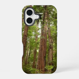 Up to Redwoods I at Muir Woods National Monument iPhone 16 Case