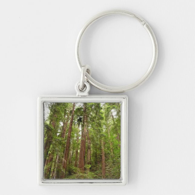 Up to Redwoods I at Muir Woods National Monument Key Ring (Front)