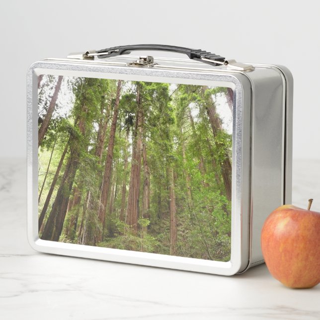 Up to Redwoods I at Muir Woods National Monument Metal Lunch Box (In Situ)