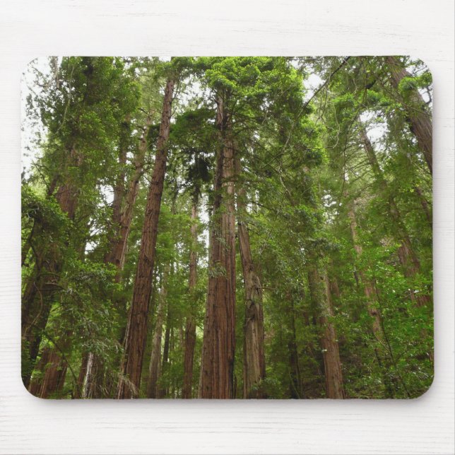 Up to Redwoods I at Muir Woods National Monument Mouse Mat (Front)