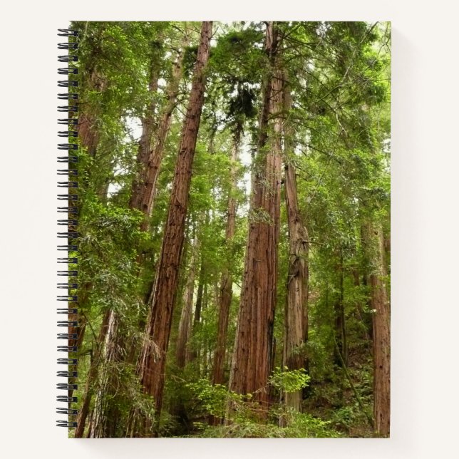 Up to Redwoods I at Muir Woods National Monument Notebook (Front)