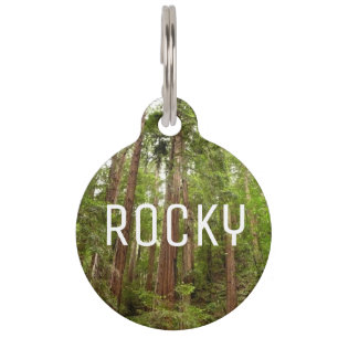 Up to Redwoods I at Muir Woods National Monument Pet Tag