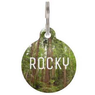 Up to Redwoods I at Muir Woods National Monument Pet Tag