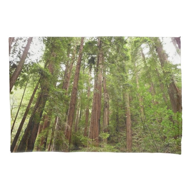 Up to Redwoods I at Muir Woods National Monument Pillowcase (Front)