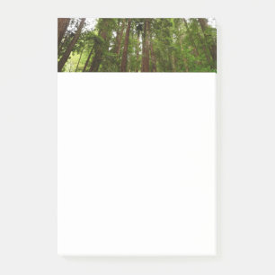 Up to Redwoods I at Muir Woods National Monument Post-it Notes