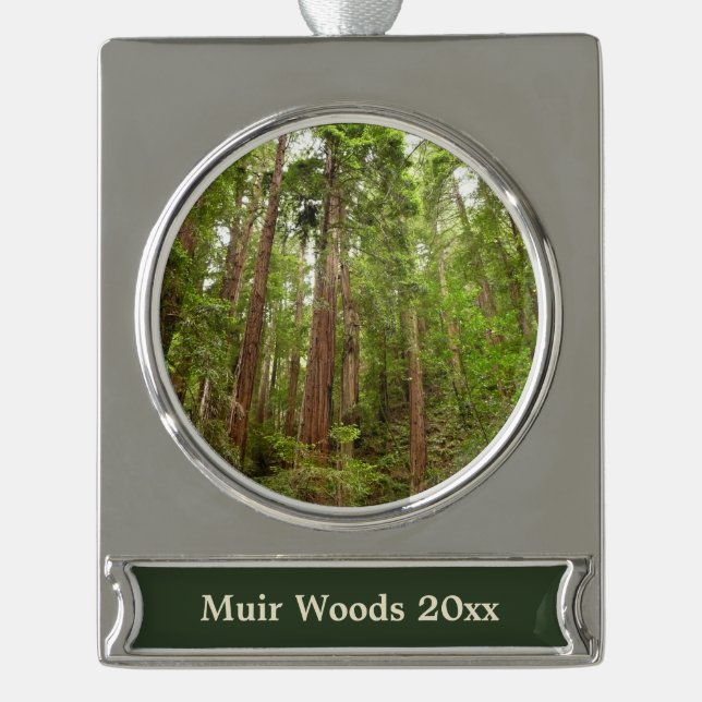 Up to Redwoods I at Muir Woods National Monument Silver Plated Banner Ornament (Front)